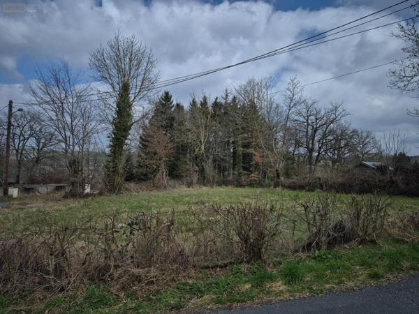 Terrain à Batir à vendre à Salles-Curan dans l'Aveyron (12410), ref :