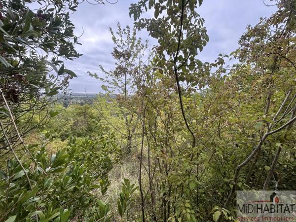 Terrain à vendre à Rabastens (81800)