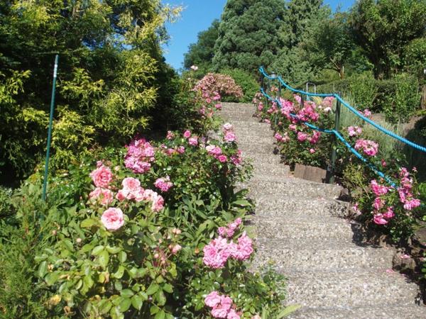 Maison à vendre 32 pièces SARRALBE (57)