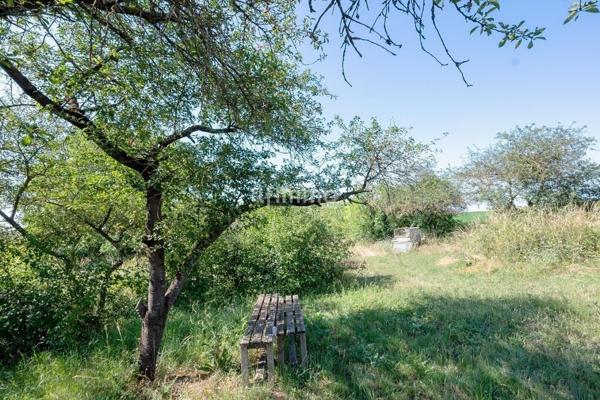 Agréable terrain de loisir 2550 m²