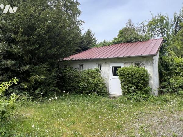 LA CHAPELLE D'ANDAINE, maison de maître à rénover avec parc arboré et dépendances