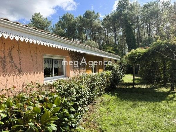 Maison à MESSANGES, 40660 - 8 pièces 209m²