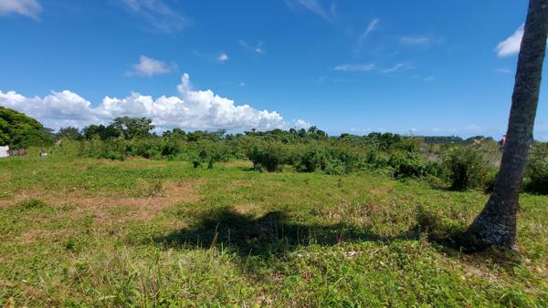 Terrain constructible de 517 m² à Petit-Bourg, idéal projet