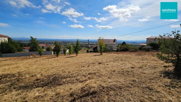 LEZIGNEUX (42600) - TERRAIN A BATIR - VIABILITE EN BORDURE - LIBRE DE CONSTRUCTION