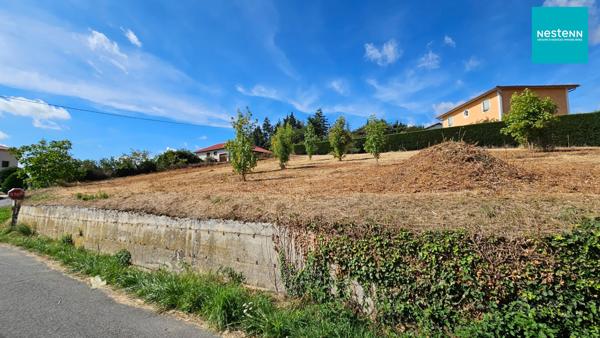 LEZIGNEUX (42600) - TERRAIN A BATIR - VIABILITE EN BORDURE - LIBRE DE CONSTRUCTION
