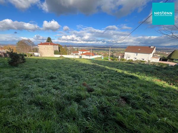 LEZIGNEUX (42600) - TERRAIN A BATIR - VIABILITE EN BORDURE - LIBRE DE CONSTRUCTION