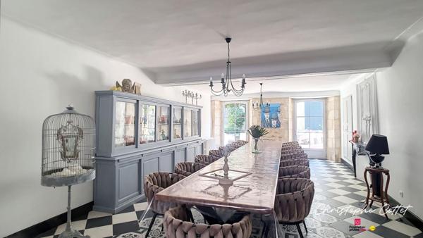 Demeure de charme Chauvigny - 9 pièce(s) 330 m2