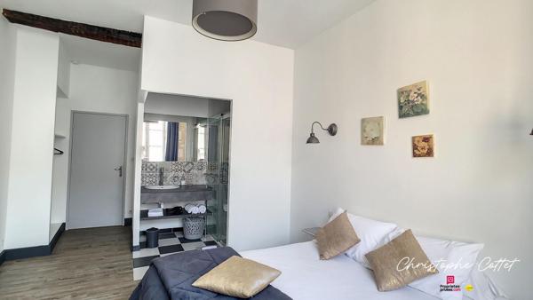 Demeure de charme Chauvigny - 9 pièce(s) 330 m2