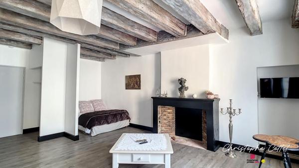 Demeure de charme Chauvigny - 9 pièce(s) 330 m2