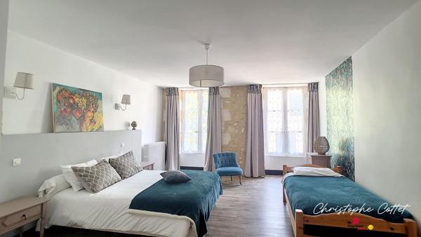 Demeure de charme Chauvigny - 9 pièce(s) 330 m2