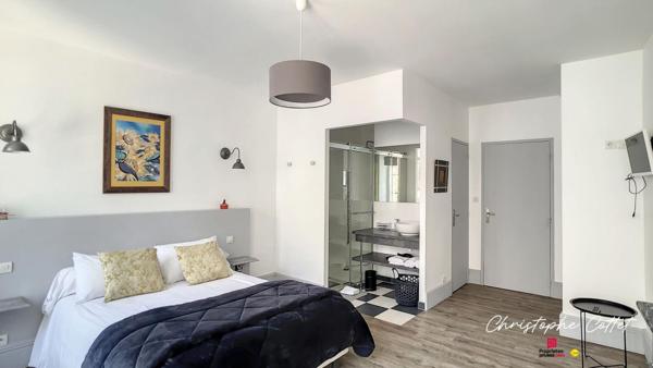 Demeure de charme Chauvigny - 9 pièce(s) 330 m2