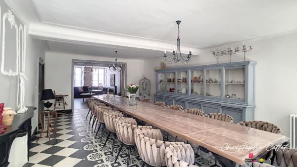 Demeure de charme Chauvigny - 9 pièce(s) 330 m2