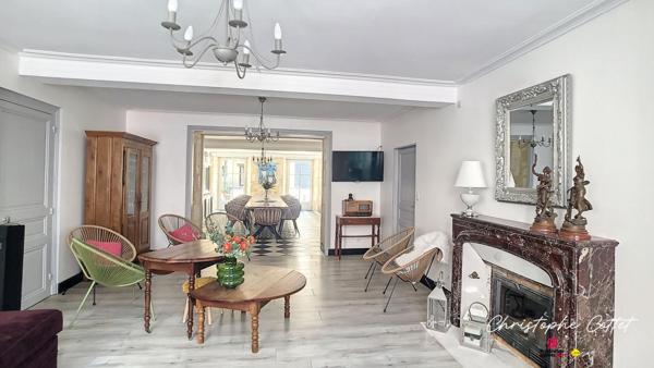 Demeure de charme Chauvigny - 9 pièce(s) 330 m2