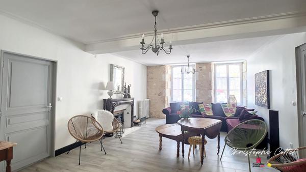 Demeure de charme Chauvigny - 9 pièce(s) 330 m2