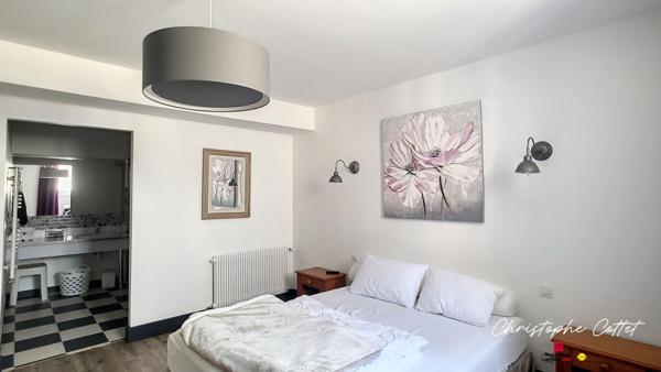 Demeure de charme Chauvigny - 9 pièce(s) 330 m2