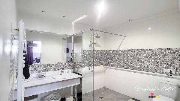 Demeure de charme Chauvigny - 9 pièce(s) 330 m2