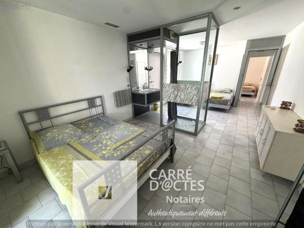 Grande propriété à vendre à Meynes dans le Gard (30840), ref : 1003 / 579