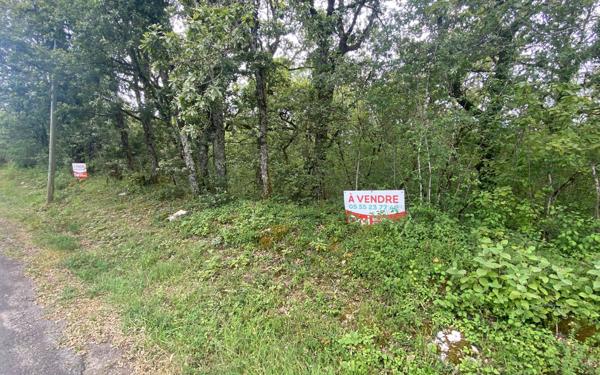 Terrain à vendre    La Dornac