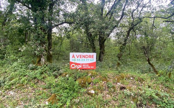 Terrain à vendre    La Dornac