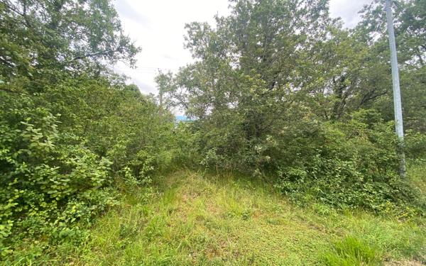 Terrain à vendre    La Dornac