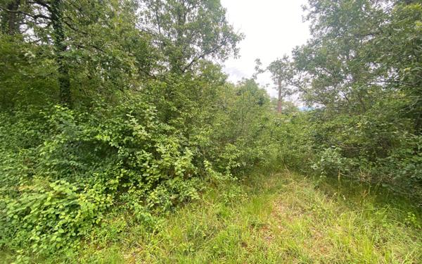 Terrain à vendre    La Dornac