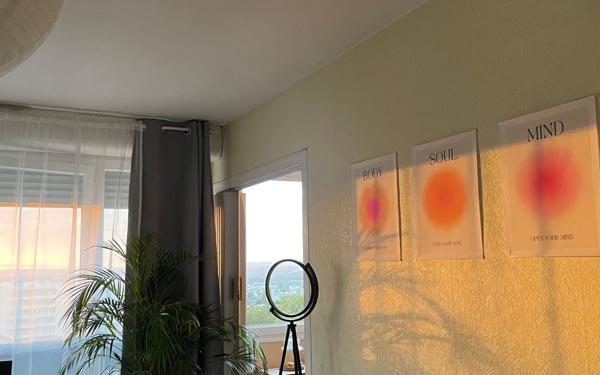 Appartement à louer    1 pièce •  Limoges