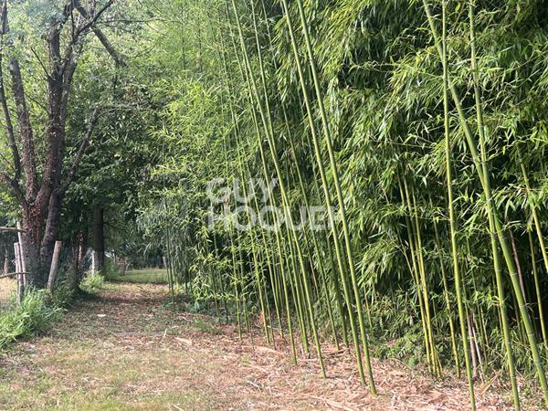 Maison spacieuse à vendre à Toulon-sur-Arroux - 155 000 