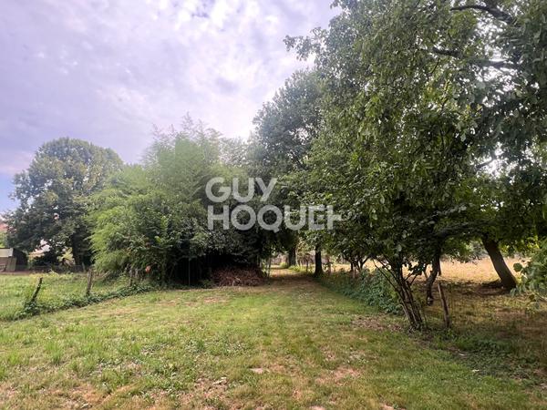 Maison spacieuse à vendre à Toulon-sur-Arroux - 155 000 