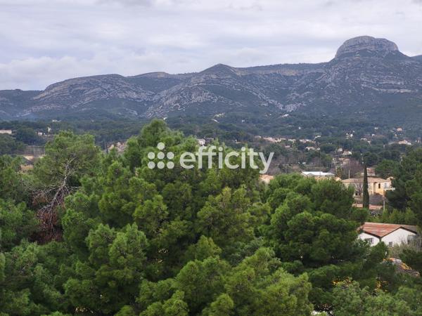 Appartement 4 pièces - 77 m²