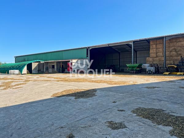 Maison à vendre avec hangars et bergerie à Jouy le Chatel