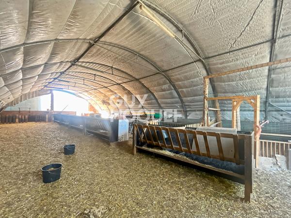 Maison à vendre avec hangars et bergerie à Jouy le Chatel