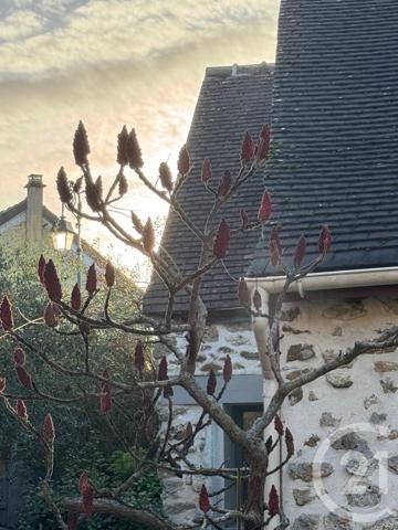 Maison à vendre  11 pièces - 249,09 m2 PRINGY - 77