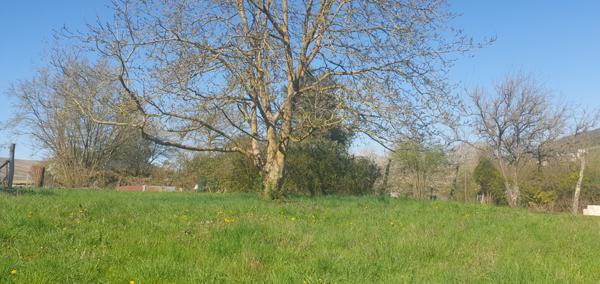 Verneuil (51700) MAISON AVEC GRAND TERRAIN