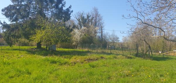 Verneuil (51700) MAISON AVEC GRAND TERRAIN