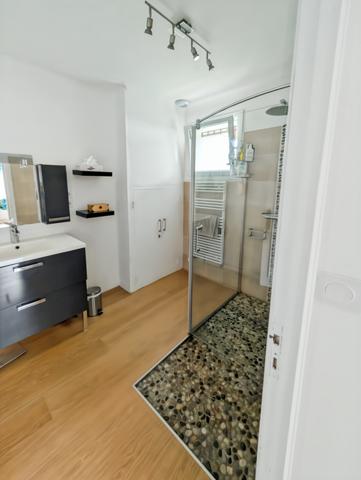 Laval (53000) GRANDE MAISON RIVE GAUCHE LAVAL 53000