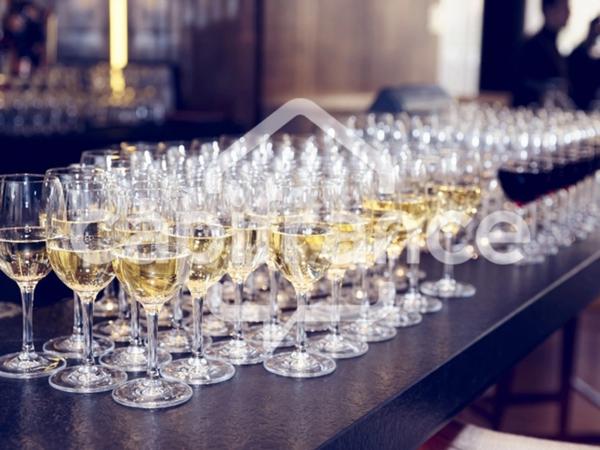 Gard (30) Nîmes (30000) 40 mn Nord à vendre Murs & Fonds commerce GÎTES HAUT DE GAMME 1600 m 2 bâti et 4,6 ha.