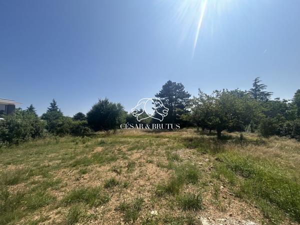 Terrain arboré et viabilisé de 1 500m² – Écully