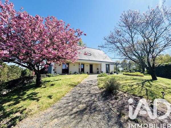 Maison à vendre 8 pièces 170 m² Rougé