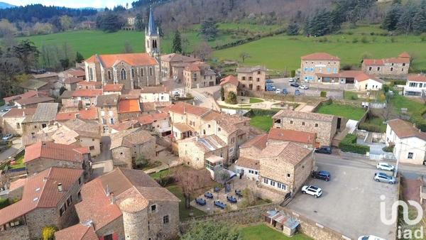 Restaurant à vendre 200 m² Saint-Alban-d'Ay