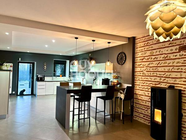 Superbe propriété TONNEINS