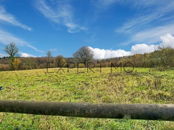 Saint-Pierre-du-Fresne (14260) UN HERBAGE POUR VOS CHEVAUX OU AUTRE !