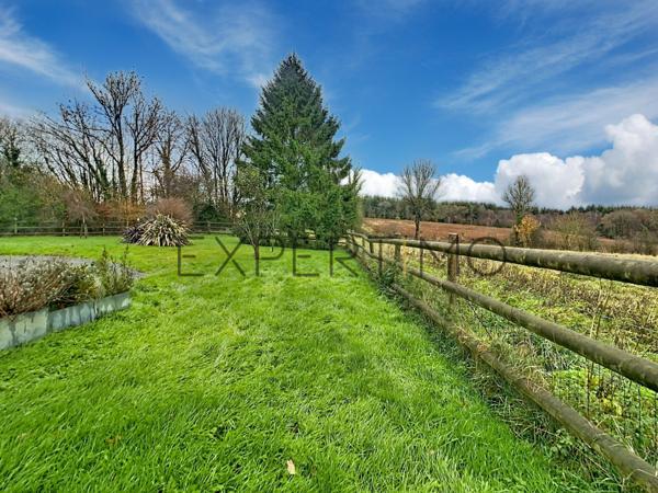 Saint-Pierre-du-Fresne (14260) UN HERBAGE POUR VOS CHEVAUX OU AUTRE !