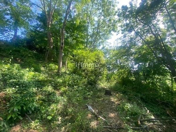 Terrain à bâtir de 1994m2