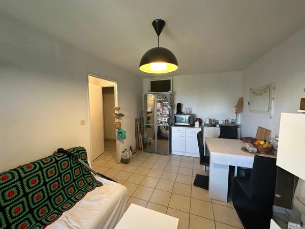 Appartement à louer    2 pièces •  Avignon