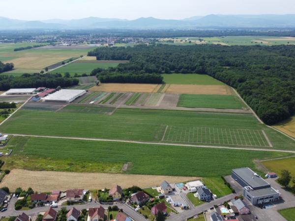 Vente / Terrain constructible