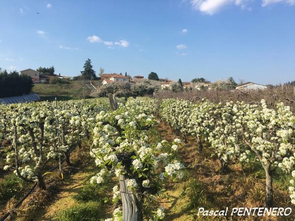 T2 47 m² – Grande terrasse 22 m² + balcon – Parking + garage – Résidence avec piscine – Vourles