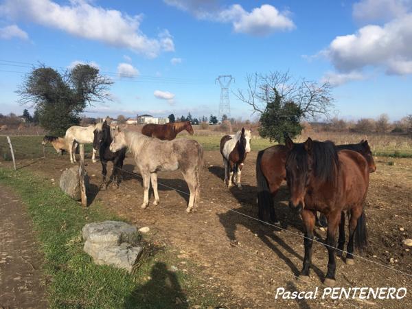 T2 47 m² – Grande terrasse 22 m² + balcon – Parking + garage – Résidence avec piscine – Vourles