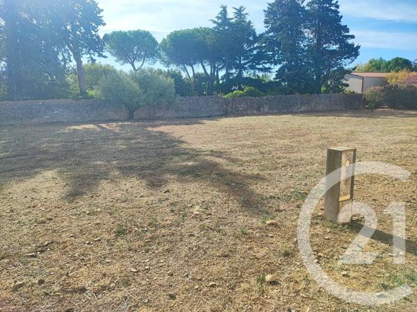 Terrain à vendre  947 m 2   TRAUSSE  - 11
