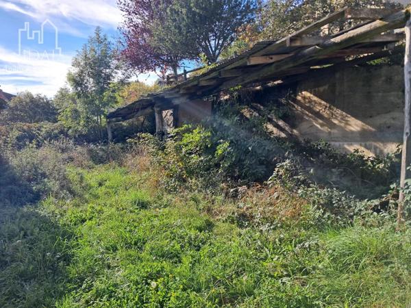 Vente Maison 12 pièces 226 m2 à Saint-Pierre-de-Nogaret