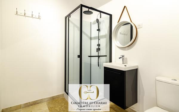 Beynac-et-Cazenac (24220) Beynac. Maison en pierre restaurée 200 m2 - jardin - Spa - Vue Château.